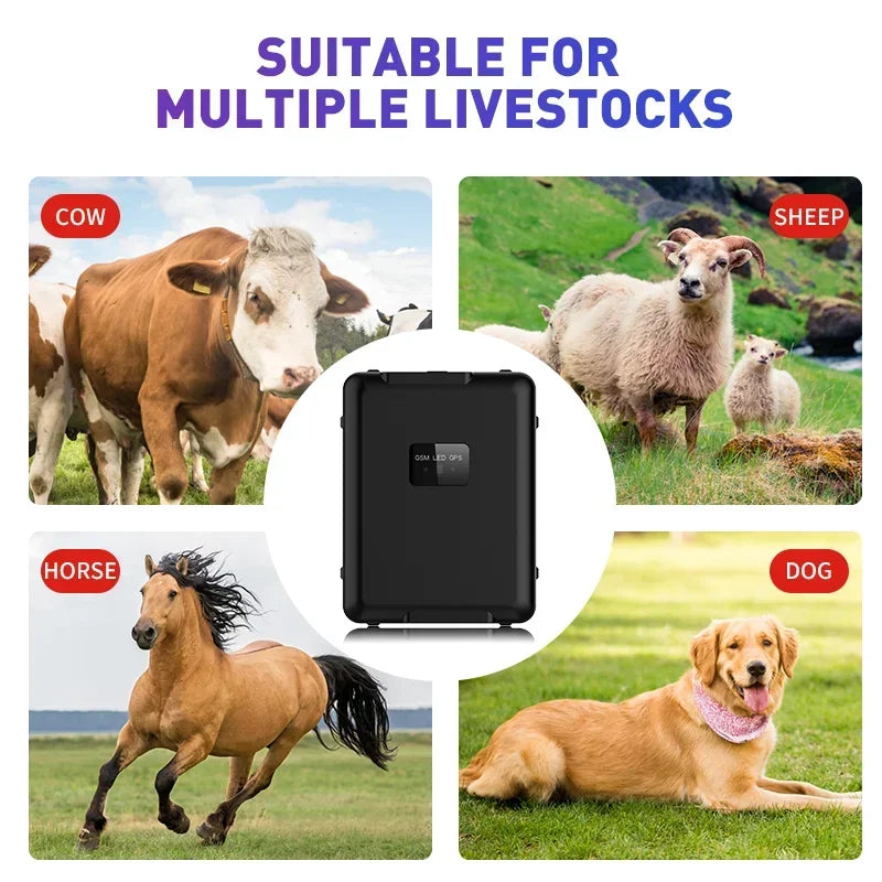 4G LTE GPS Tracker Sheep Cow Cattle Horse GPS Tracking Device Locator 30000mAh Long Standby Time IP67 Waterproof