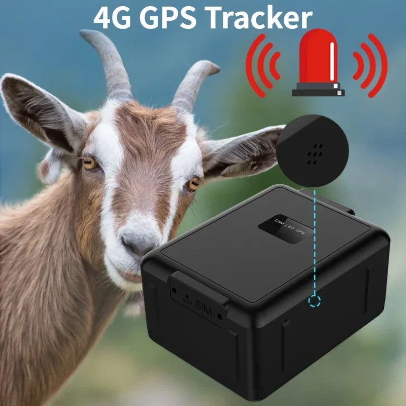 4G LTE GPS Tracker Sheep Cow Cattle Horse GPS Tracking Device Locator 30000mAh Long Standby Time IP67 Waterproof