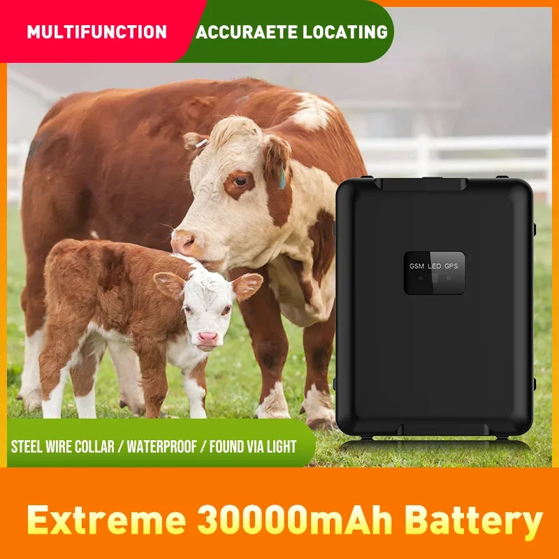 4G LTE GPS Tracker Sheep Cow Cattle Horse GPS Tracking Device Locator 30000mAh Long Standby Time IP67 Waterproof